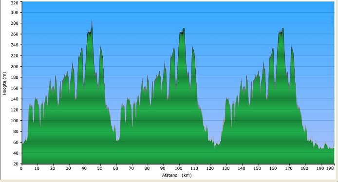 Race Profile