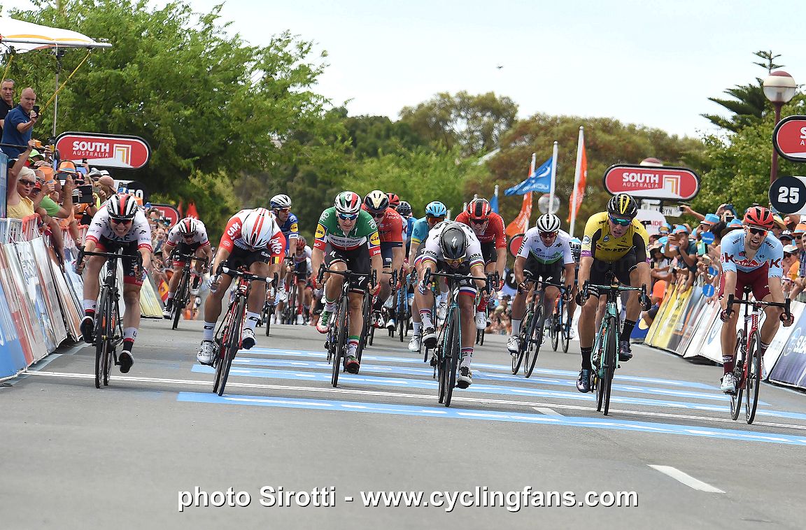 Cycling tour shop down under 2019