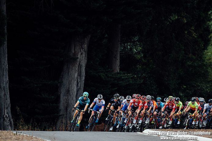 Cycling tour down under sales