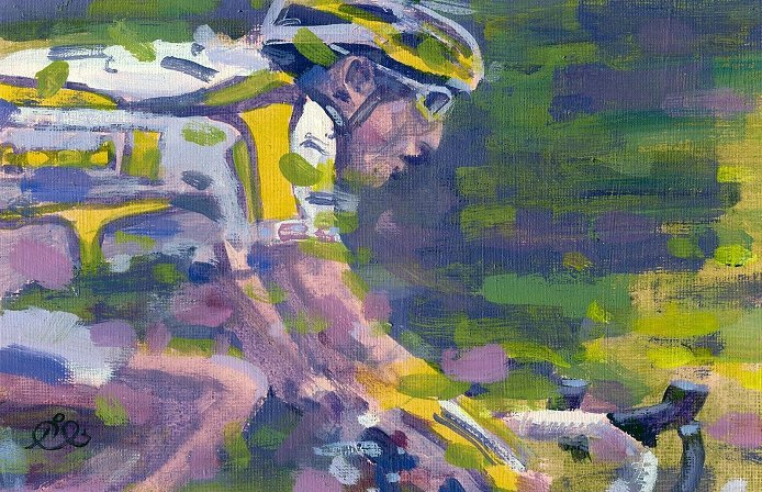 tour de france stage 17