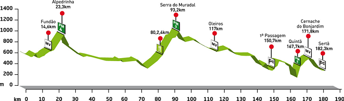 Stage 7 Profile