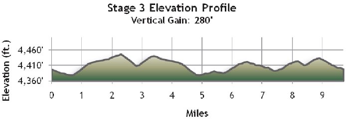 Stage 3 Profile