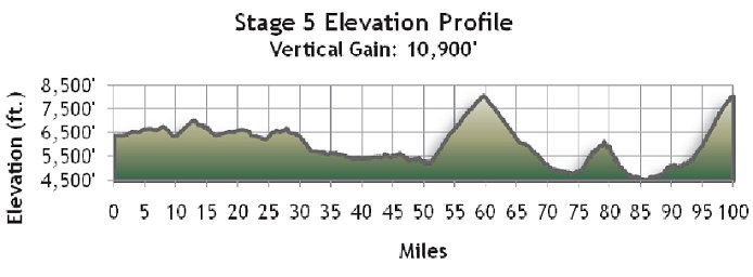 Stage 3 Profile