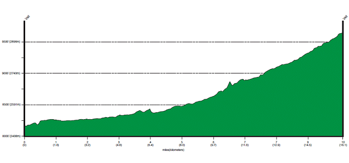 Prologue Profile